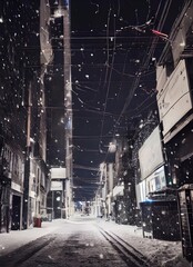 The snow is falling in thick flakes, coating the sidewalks and buildings in a layer of white. It's nearly dark, but the streetlights are shining brightly, reflected in the puddles of water that have a