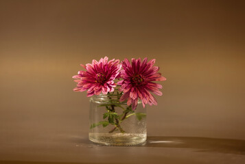 Still life with a bouquet of two pink flowers in a glass can 