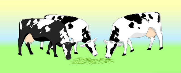 Two cash cows graze in a field, eating grass. Milkmaid in the meadow. Animals that feed on organic meadows. isolated flat vector illustration of a dairy farm
