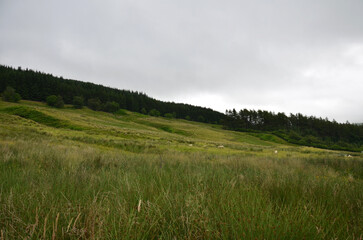 Obraz premium Scotland Highlands