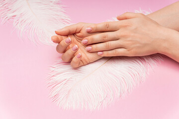 Female hands with smooth skin and soft ostrich feather on pink background