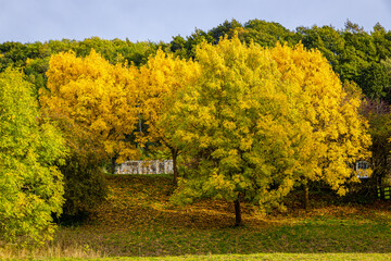 Fototapeta premium A view of Mount Grace pirory, a monastery in the parish of East Harlsey, North Yorkshire, England