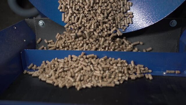 Wood fuel pellets fall on cells of delivering conveyor belt