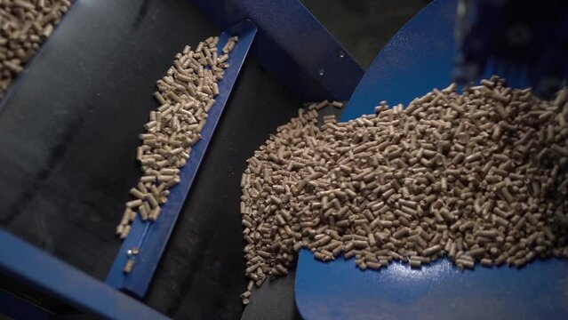 Small wood fuel pellets fall in cells of conveyor belt. Conveyor delivers pellet product to storehouse. Production of firebox material and pet litter
