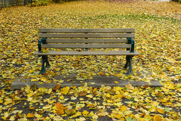 Lonely park bench with fallen leaves in autumn