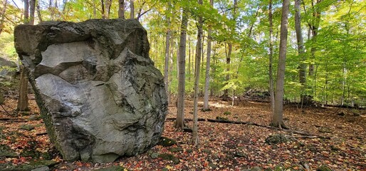 Closeup of a face rock boulder in the Niagara river Gorge forest with yellow and red leaves around © Alejandro Montemayor/Wirestock Creators