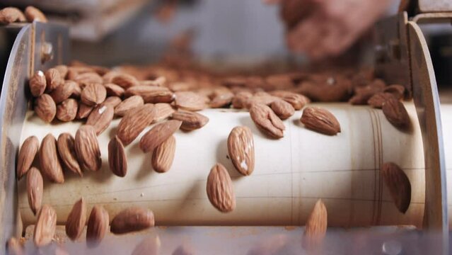 Slow motion of Almonds falling from a conveyor belt in a processing facility