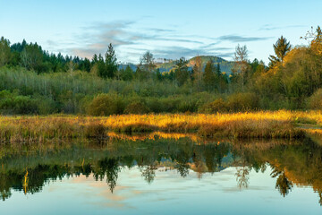 Darlin Creek Preserve Washington State