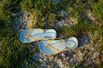 white flip-flop on the beach sand lawn