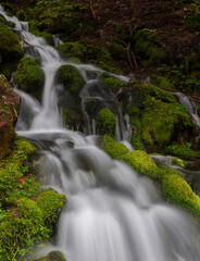Spray Park Trail Mount Rainier National Park