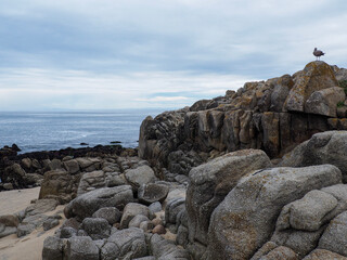beach and rocks on an overcast day