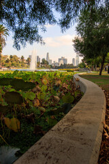 Fountain in the park with distant skyline - Echo Park Lake - Los Angeles, CA