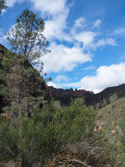 Pinnacles National Park scenic view