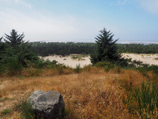 dunes in the dunes