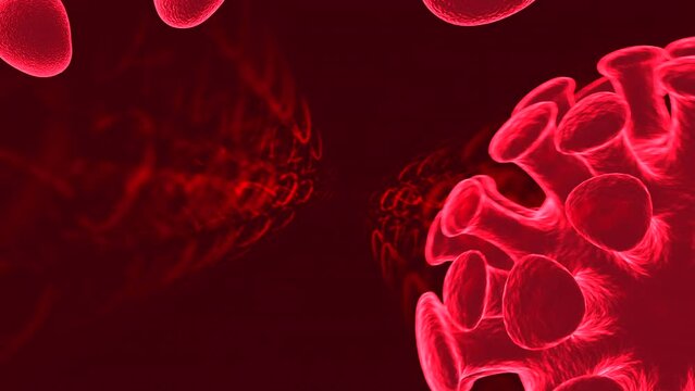 3d illustration of coronavirus attacking red blood cells