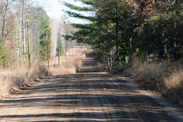 Dirt road in the woods 