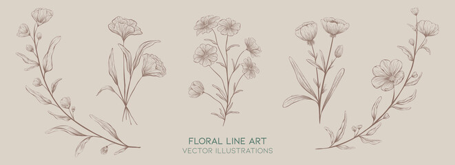 Vector line art flowers and leaves