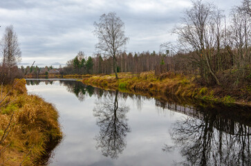 Fototapeta na wymiar reflection of tree in calm river autumn