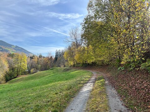 The autumn ambience of hiking trails and tourist-recreational walkways on the slopes of the Swiss Alps, Ilanz - Canton of Grisons, Switzerland (Kanton Graub&uuml;nden, Schweiz)