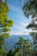 Mountain View Through Trees
