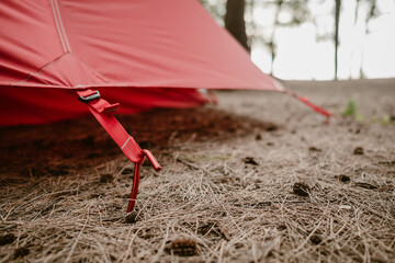 Close up of tent peg anchor on the ground tent, hook of tent, camping tent