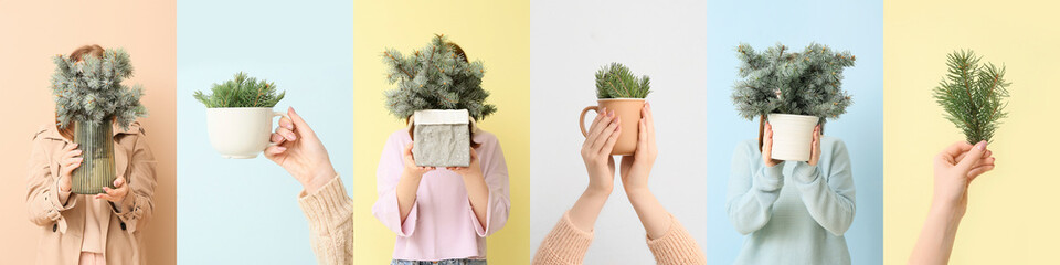 Collage of woman with Christmas tree branches on light background