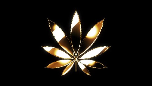 Gold cannabis leaf on black