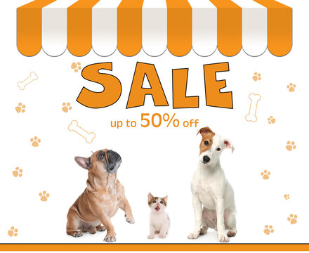 Advertising poster Pet Shop SALE. Cute dogs and kitten on white background
