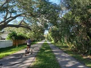 Store enrouleur occultant sans perçage Clearwater Beach, Floride Man on three-wheeled exercise scooter on pedestrian path in Dunedin, Florida, USA