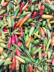 Colorful Spicy Chili Peppers Close Up. Colorful Chili Peppers in store Farmer's Market Organic.