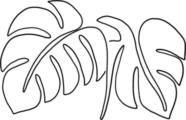 simplicity monstera plant freehand continuous line drawing