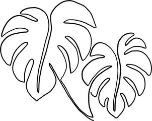 simplicity monstera plant freehand continuous line drawing