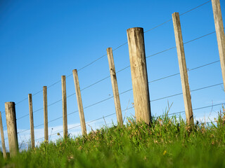 View of wire boundary farm fence with wooden posts