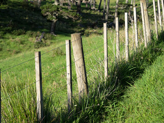 View of wire boundary farm fence with wooden posts