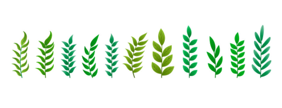 Collection Of Realistic Pine Leaves Design For Xmas Decoration