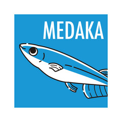 メダカのアイコン