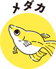 メダカのアイコン
