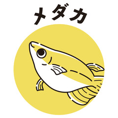 メダカのアイコン