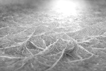 Black and white floral background texture, different shades of grey, white and dark black , luxury and flowing design
