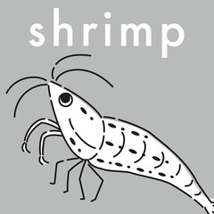 エビのアイコン（白黒）