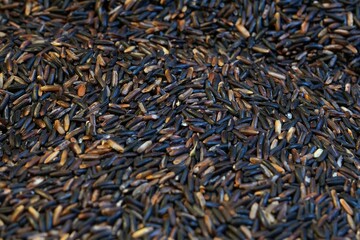 Brown rice, black glutinous rice