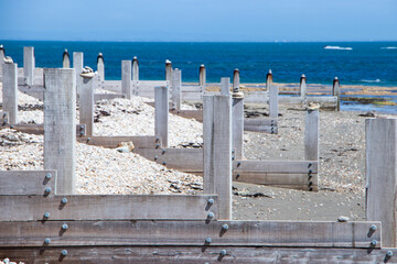 Wooden posts on a sandy beach in summer with sea and sky