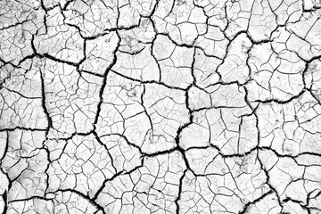 cracks on the ground desert white abstract background