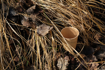 The disposable paper cup is in the dry grass. Biodegradable tableware.  Forest pollutions.