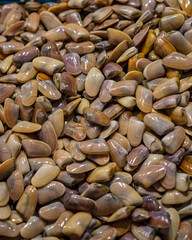 Fresh Wedge Clams (Donax trunculus) on a market stall