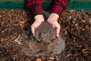Farmer hand with organic fertilizer  soil. Agriculture concept. Farmer hand with fertile black soil. Green plants. Farmer in green field holds fertile black soil in his hand.