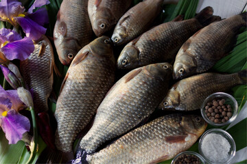 fresh fish on the market