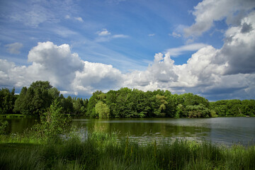 Summer landscape. Green Trees and clouds are reflected in the river. Beautiful sky with cumulus clouds.