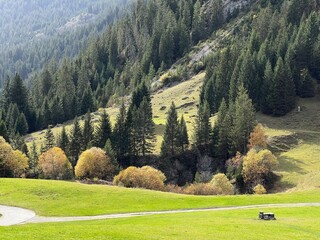 Magnificent autumn colors in the surroundings of mountain pastures and mixed forests next to the Swiss alpine reservoir lake Panixersee (Lag da Pigniu) - Canton of Grisons (Kanton Graubünden, Schweiz)