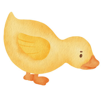 Watercolor yellow duck clipart. Stock Illustration | Adobe Stock